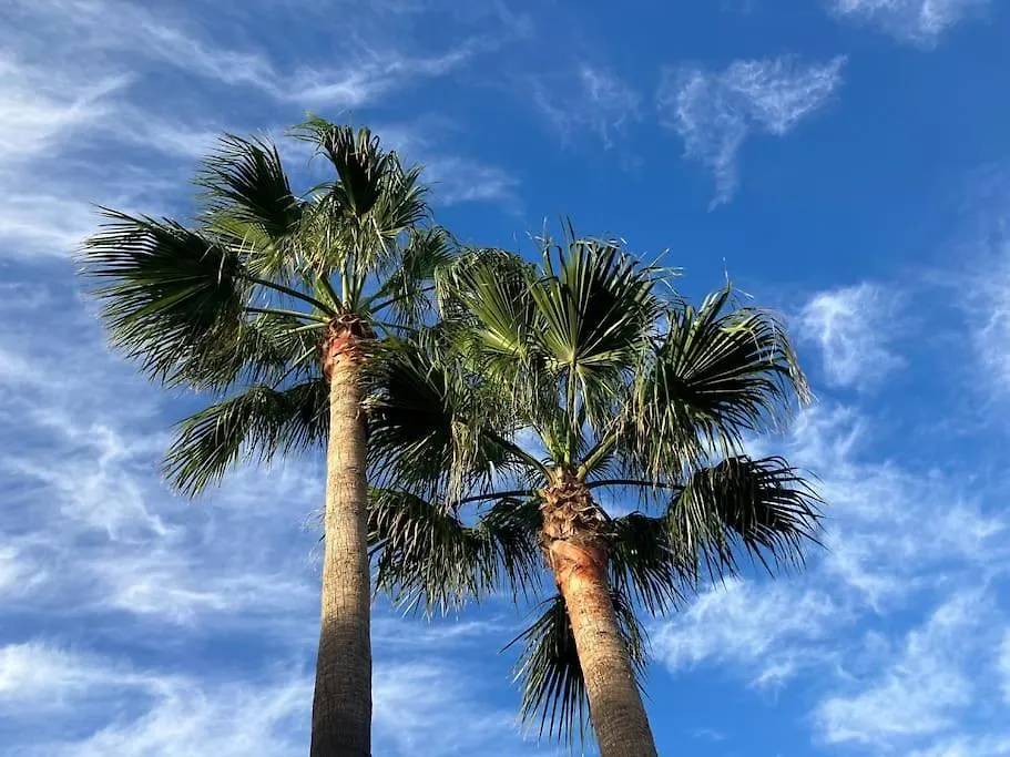 Lägenhet Casa Cactus Tenerife Arona