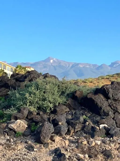 Lägenhet Casa Cactus Tenerife Arona  Spanien